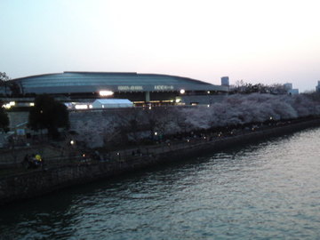 mini_120408_18300001.jpg