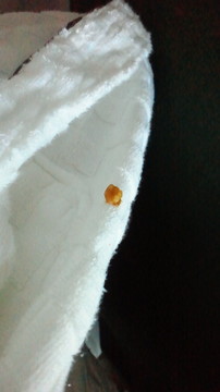 2012041612580000.jpg