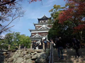 IMG_20121108_112954.jpg