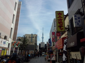 DSC_0105.jpg