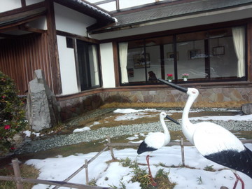 IMG_20130111_130439.jpg
