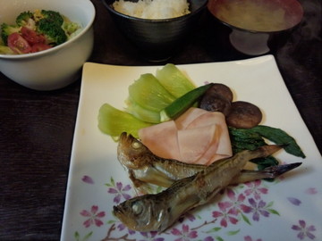IMG_20130226_034856.jpg
