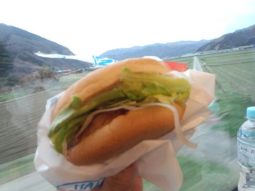 IMG_20130322_172342.jpg