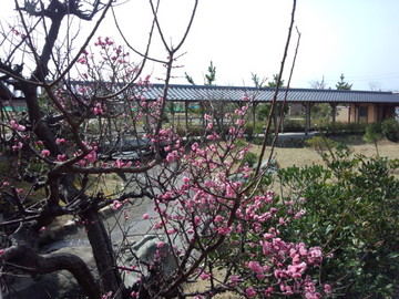 IMG_20130322_133403.jpg