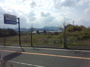 IMG_20130419_143820.jpg