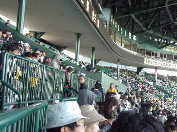 IMG_20130503_161138.jpg