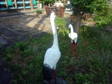 IMG_20130627_171812.jpg
