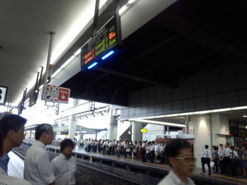 IMG_20130710_080958.jpg
