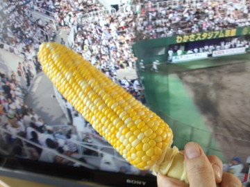 IMG_20130724_165233.jpg