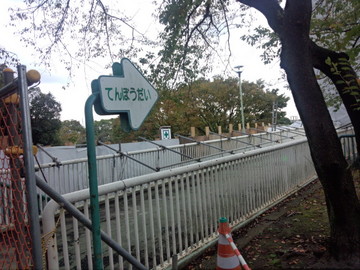 IMG_20131023_120920.jpg