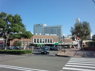 IMG_20131028_143733.jpg