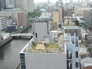 IMG_20140602_183446.jpg