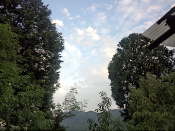 IMG_20140708_190312.jpg