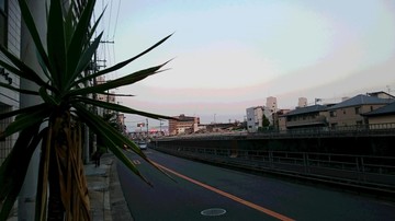 DSC_4418.JPG