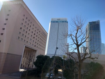 20250206_103313.JPG