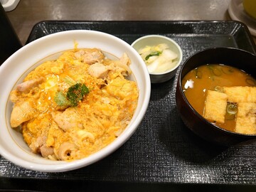 20250212_031220.JPG