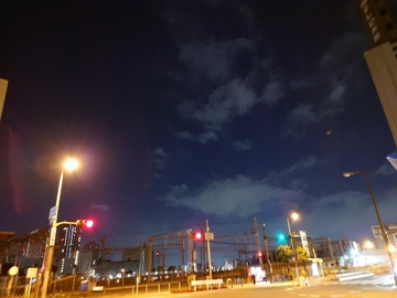 20250307_052228.JPG