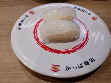 20250324_181702.JPG