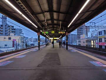 20250329_055144.JPG