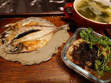 20250404_033430.JPG