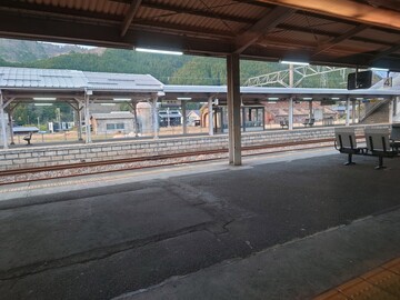 20250416_175508.JPG