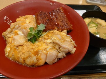 20250429_043147.JPG